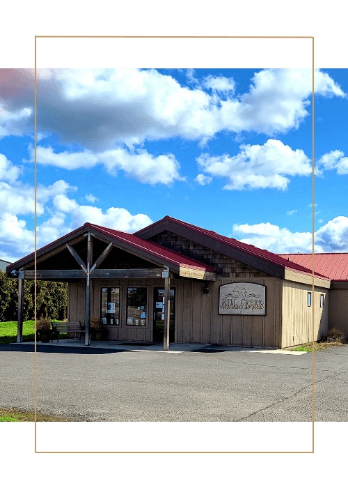 Mill Creek Veterinary Hospital photo