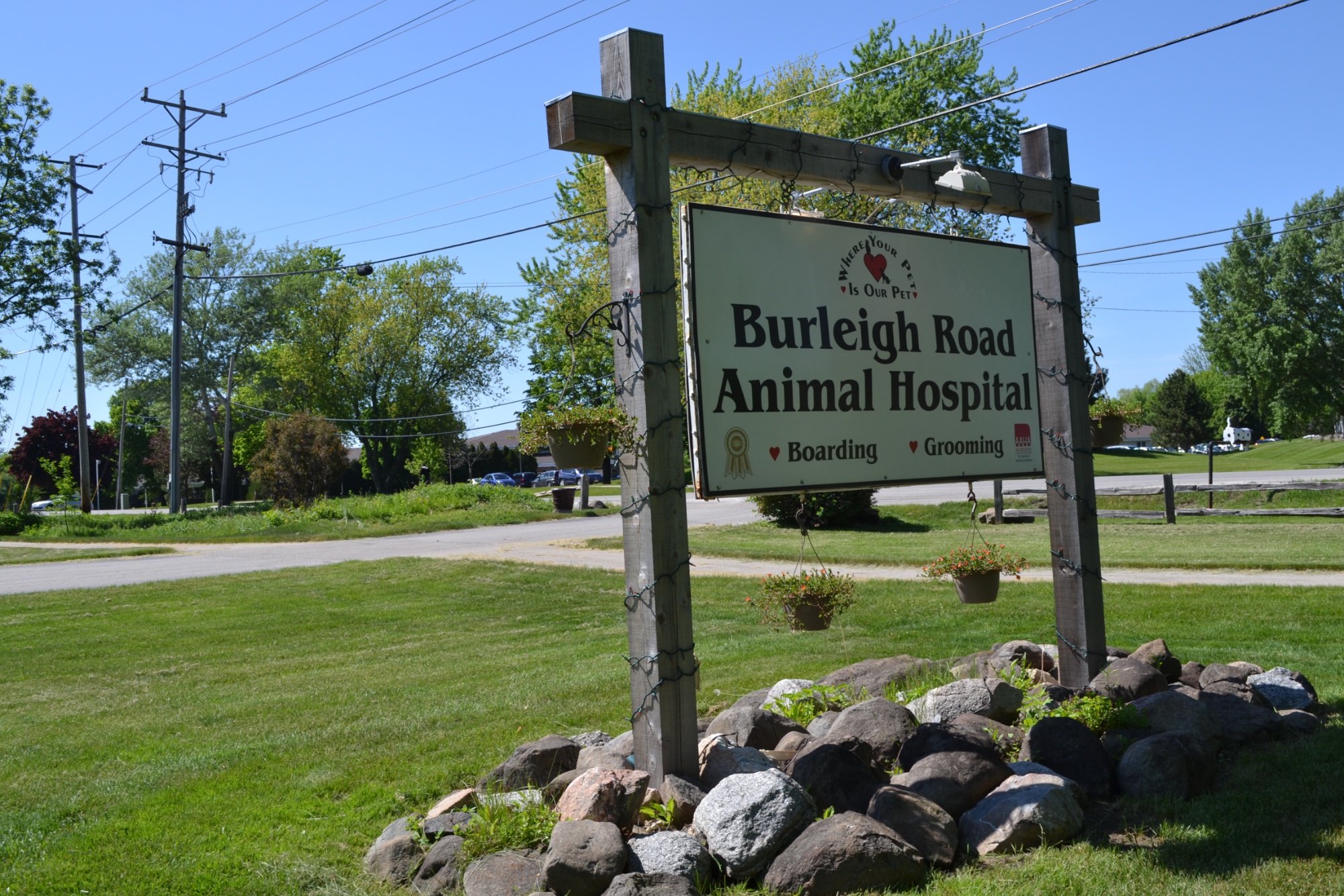Burleigh Road Animal Hospital photo