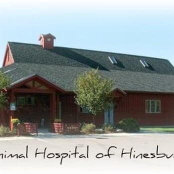 Animal Hospital of Hinesburg photo
