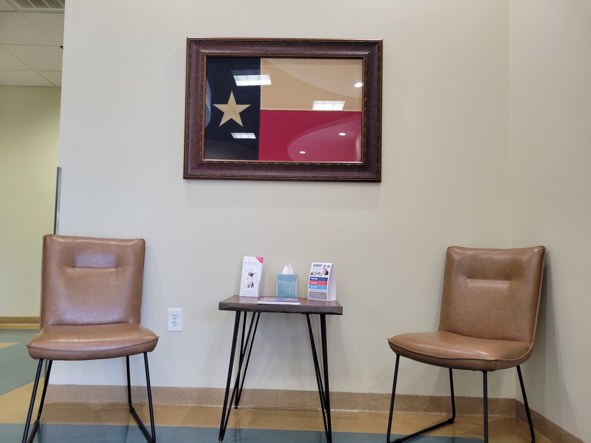 Pine Forest Animal Clinic photo