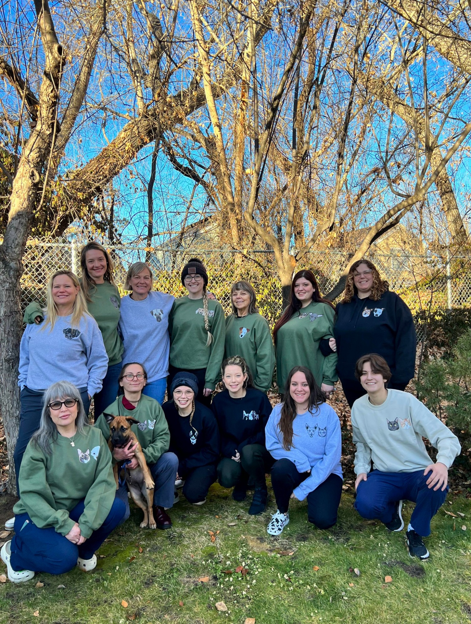 Harmony Veterinary Care photo