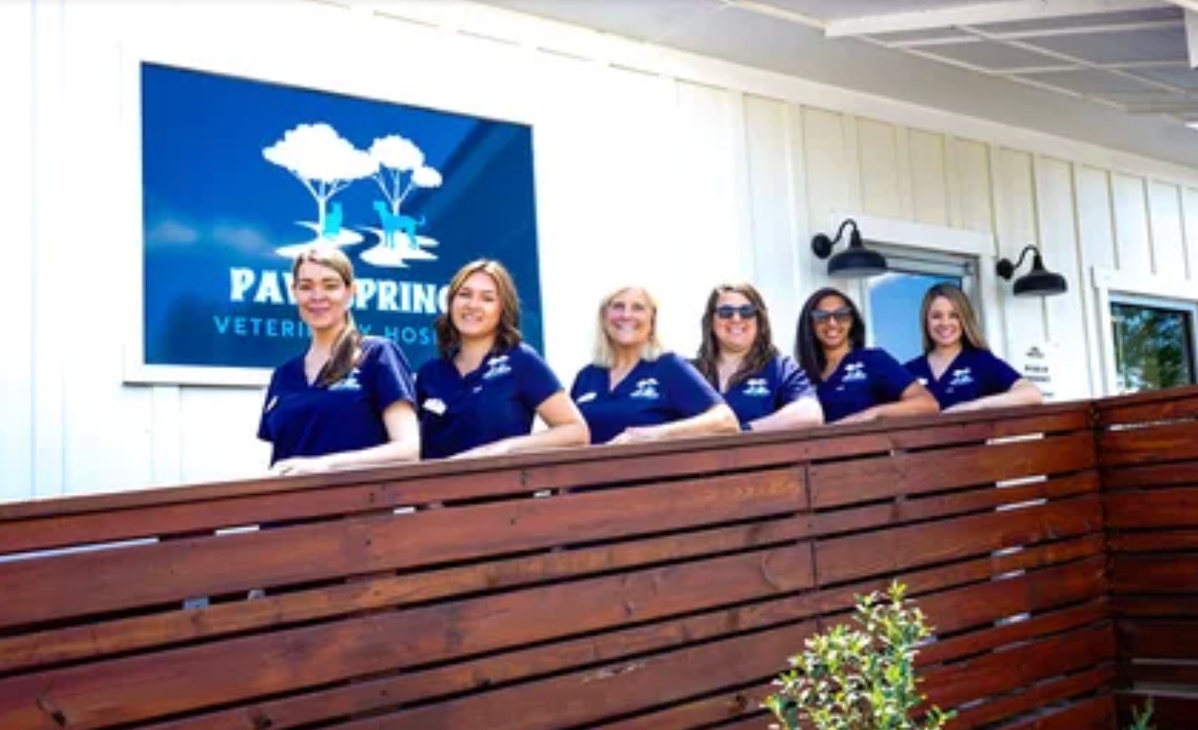 Paw Springs  photo