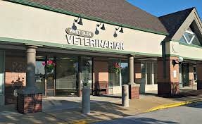 Westglen Animal Hospital photo