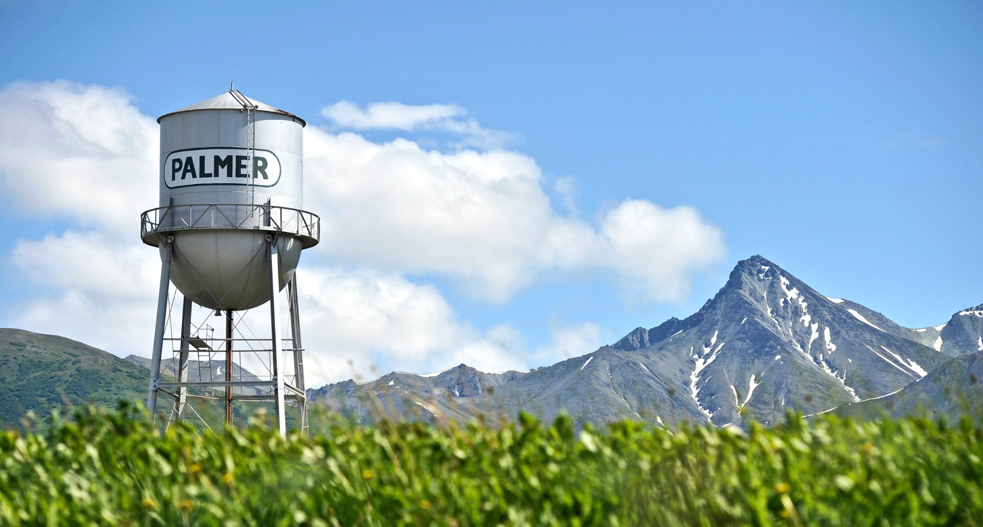 Palmer photo