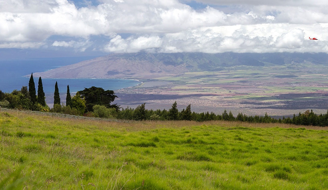 Kula photo