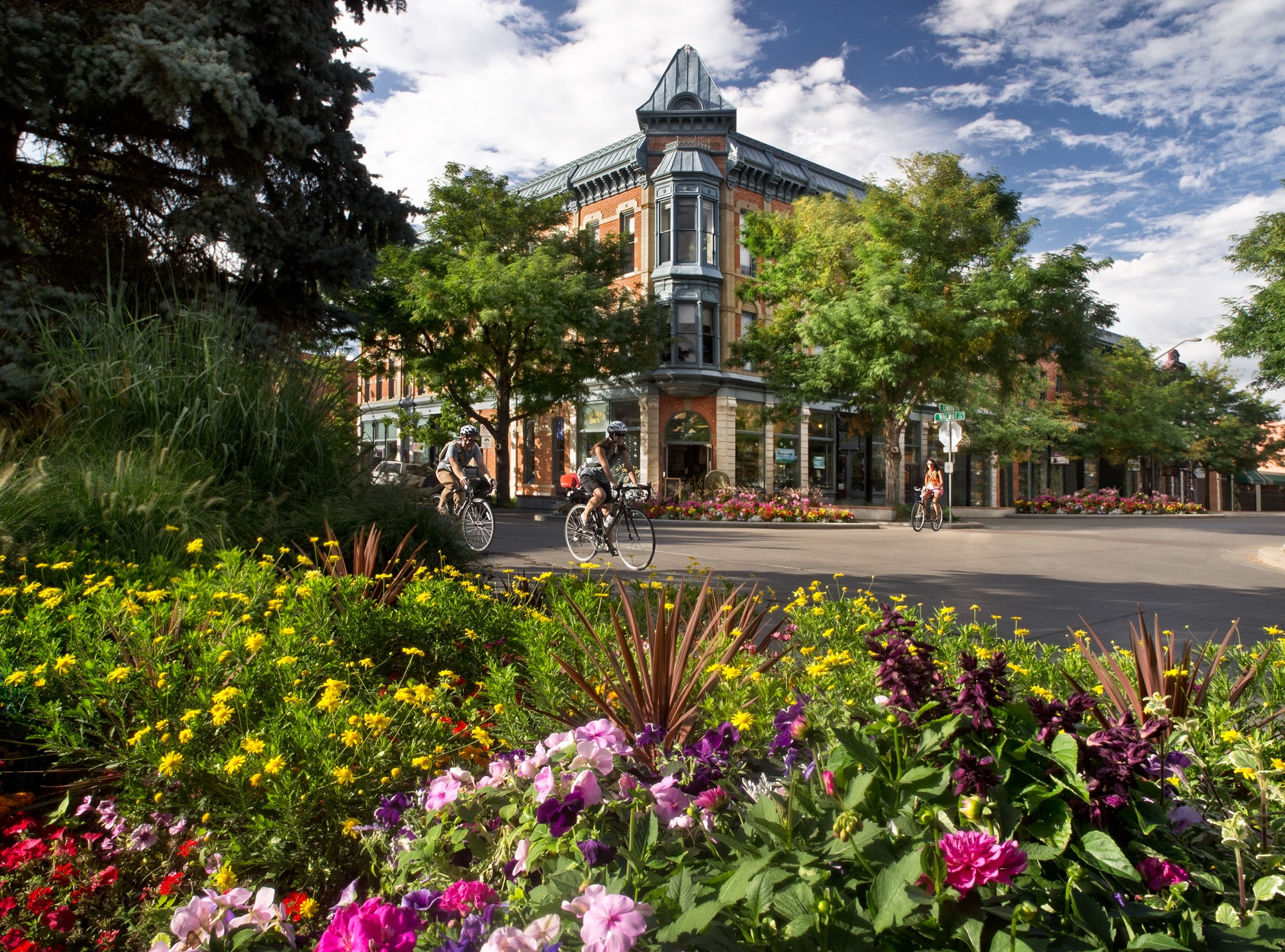 Fort Collins photo