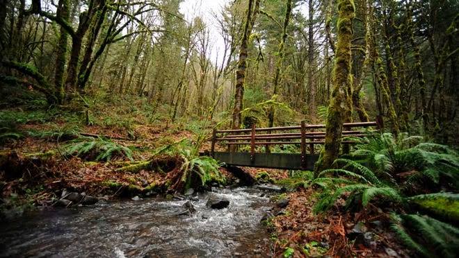 Corvallis photo