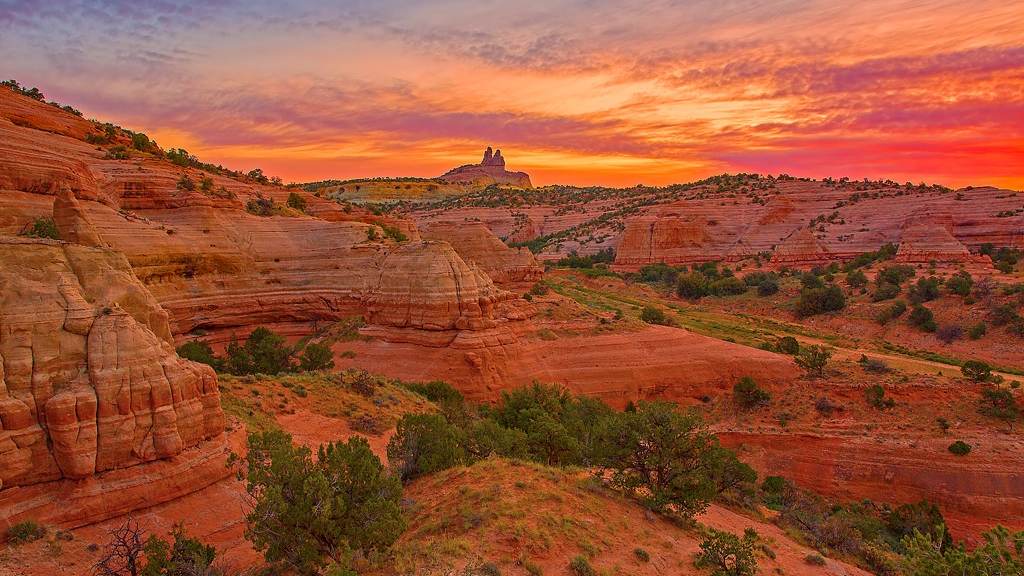 Gallup photo