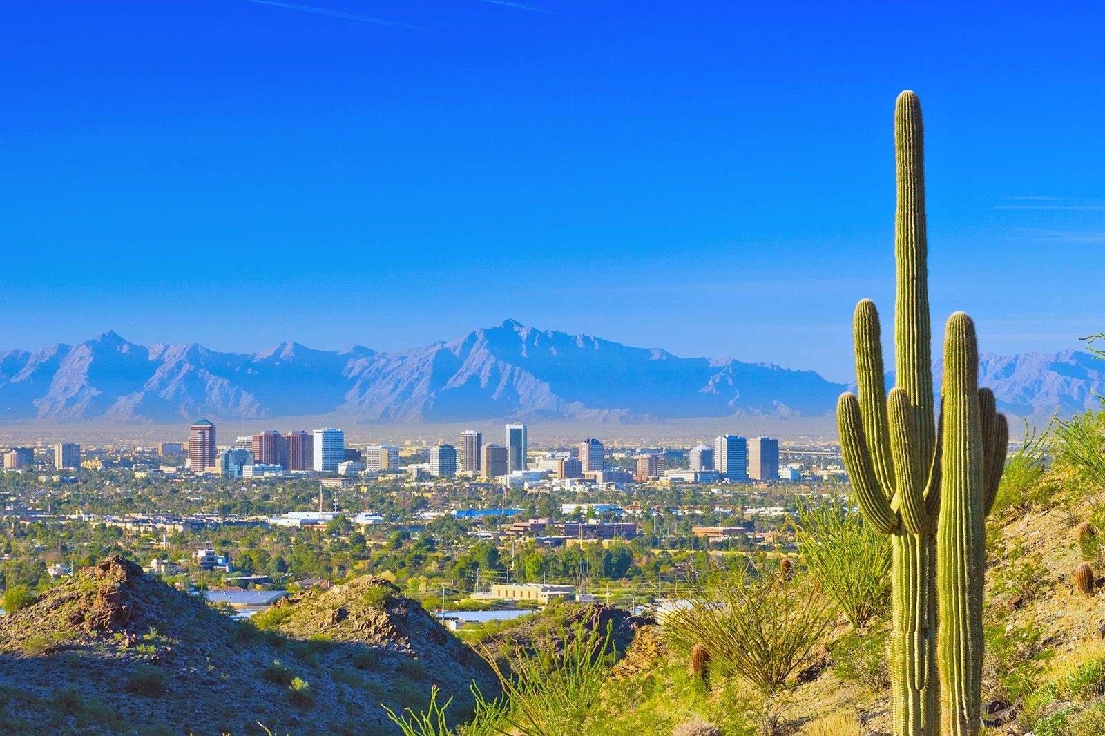 Phoenix photo