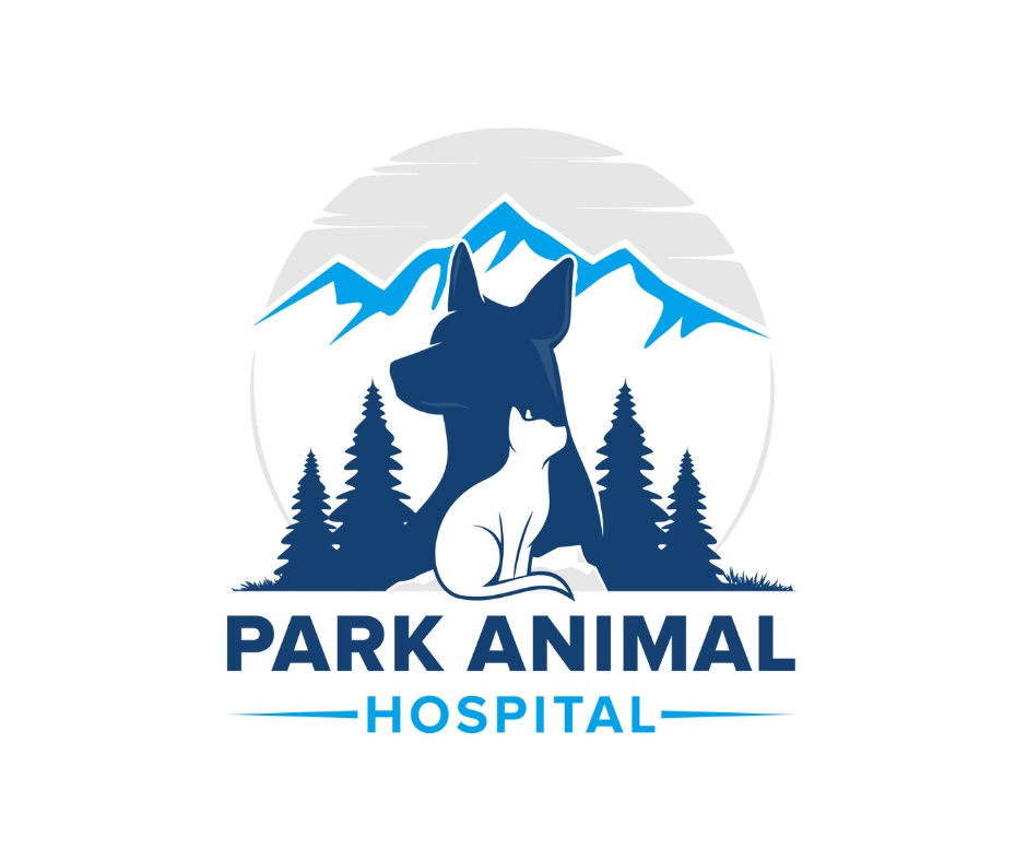 PARK ANIMAL HOSPITAL photo