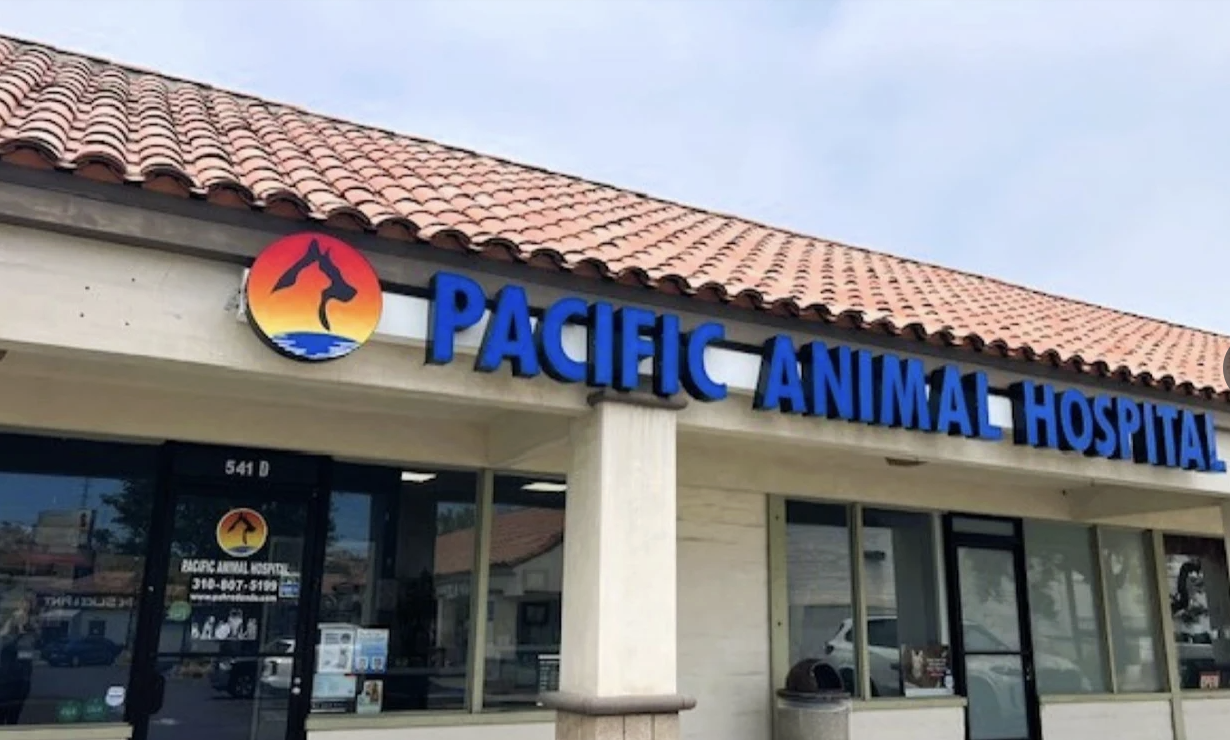 Pacific Animal Hospital photo