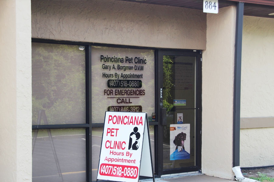 Poinciana Pet Clinic photo