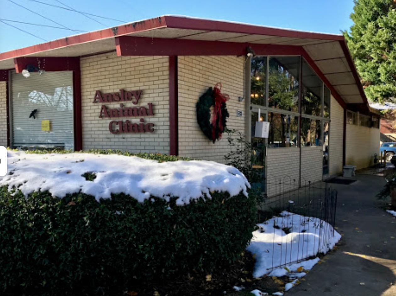 Ansley Animal Clinic  photo