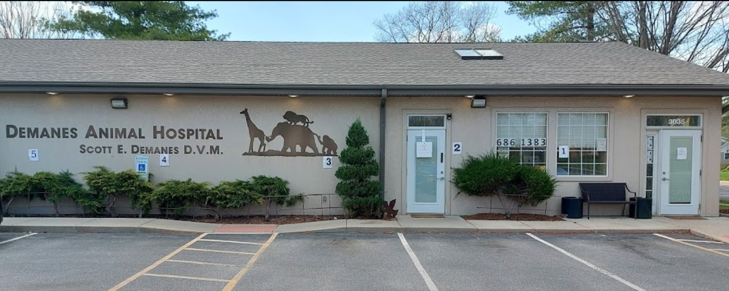 Demanes Animal Hospital photo