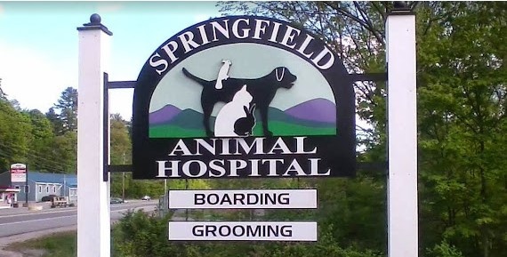 Springfield Animal Hospital  photo
