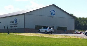 CNY Veterinary Medical Services   photo