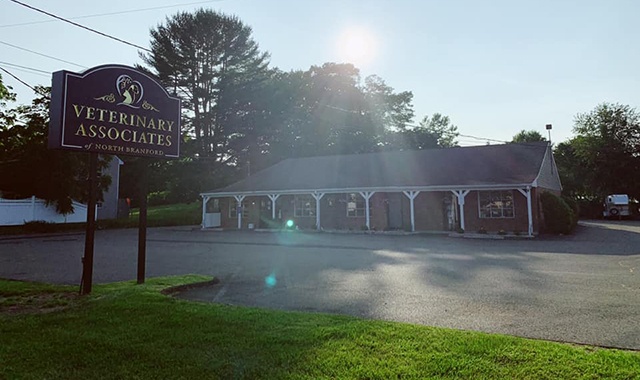 Veterinary Associates of North Branford photo