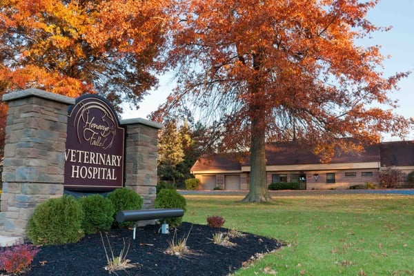 Honeoye Falls Veterinary Hospital photo