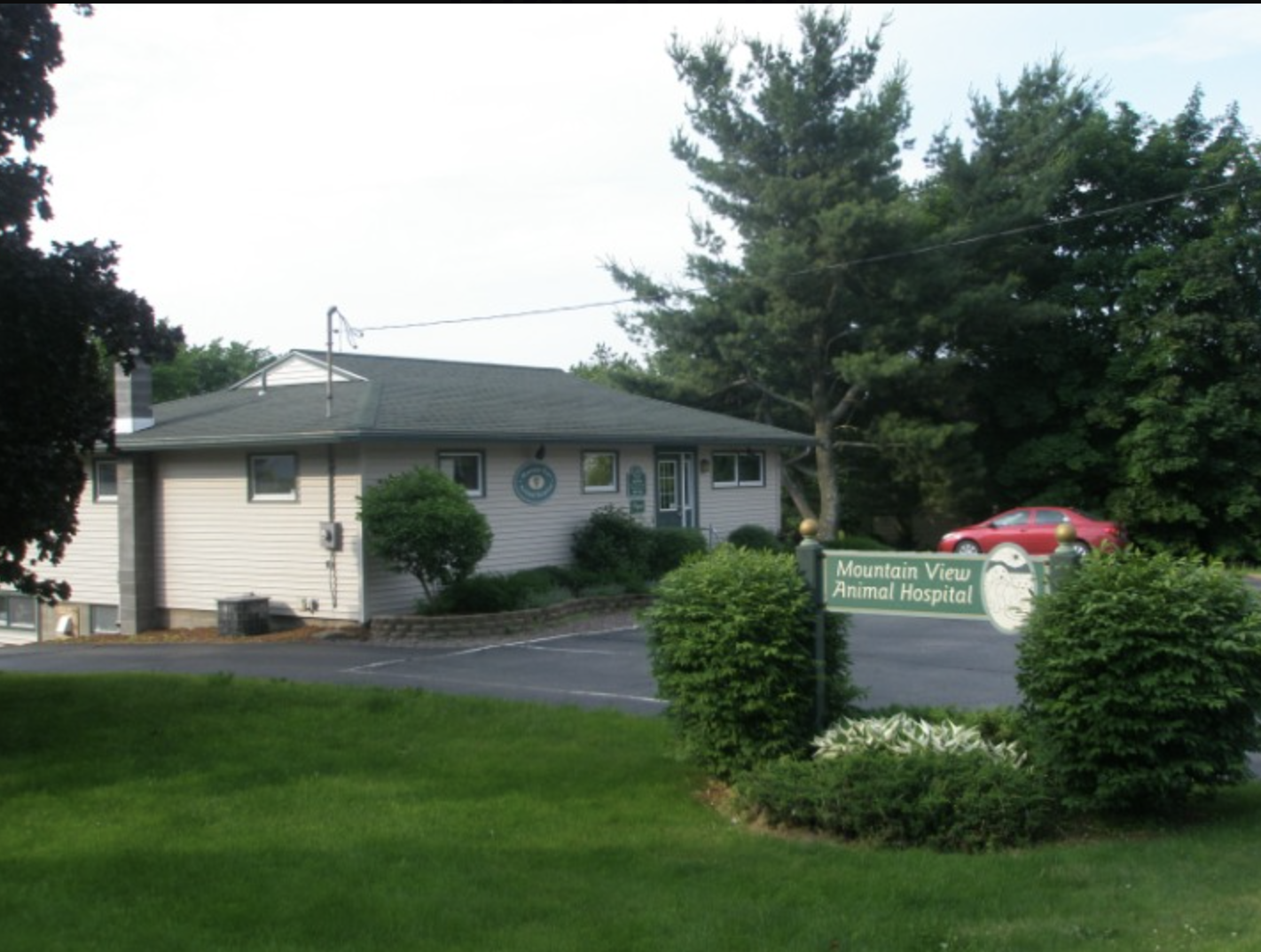 Mountain View Animal Hospital photo