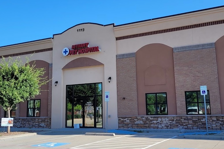 Bethany Pet Hospital photo