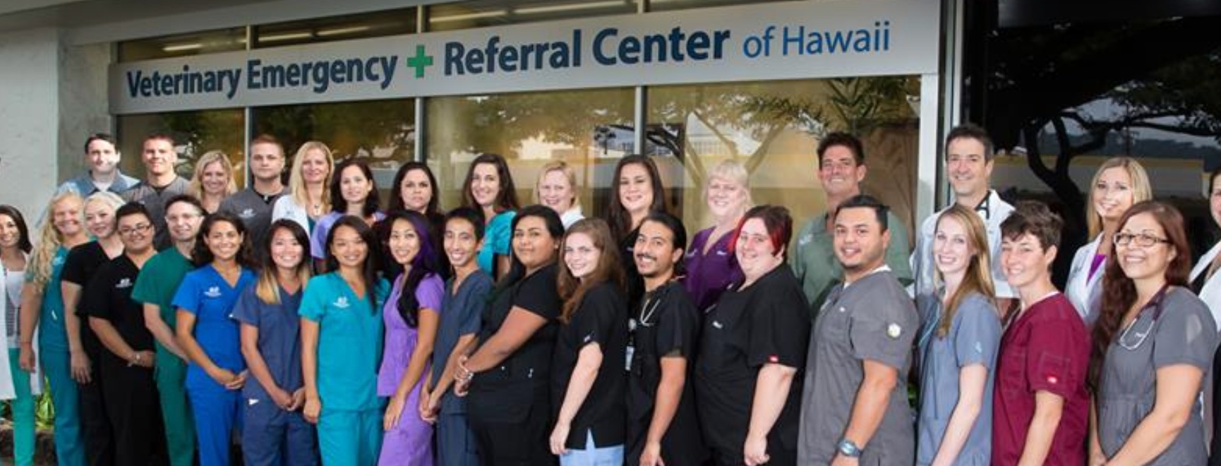 Veterinary Emergency + Referral Center of Hawaii photo
