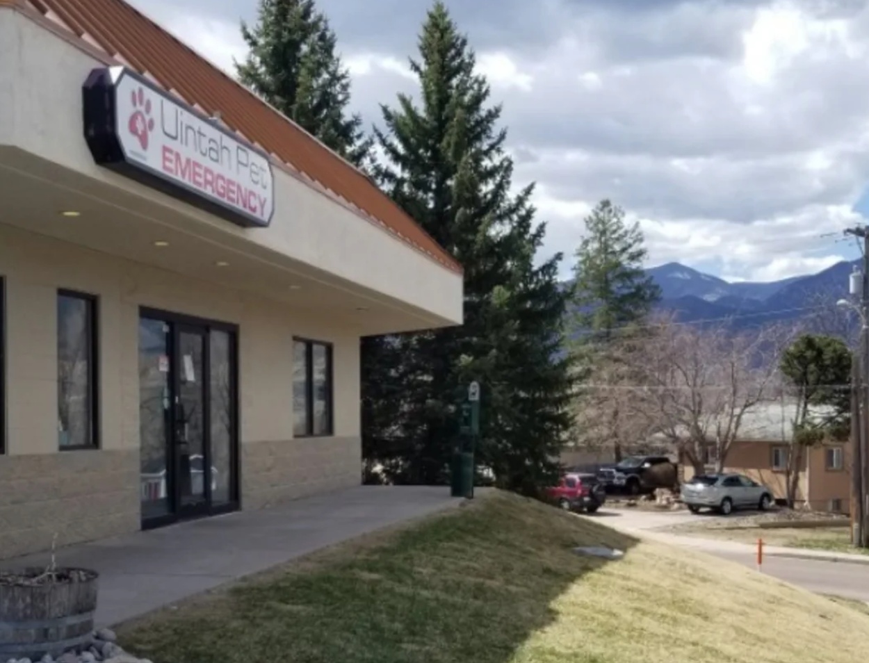 Uintah Pet Emergency photo