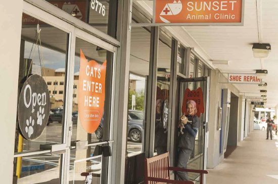 Sunset Animal Clinic photo