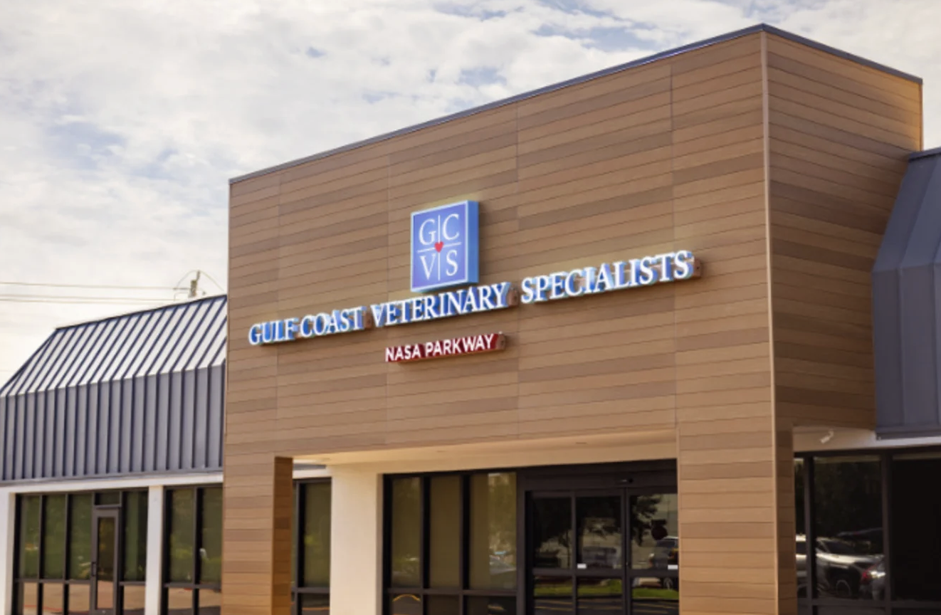 Gulf Coast Veterinary Specialists- Nasa Parkway photo