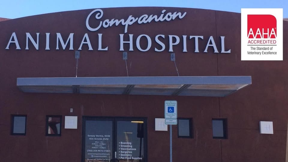 Companion Animal Hospital photo