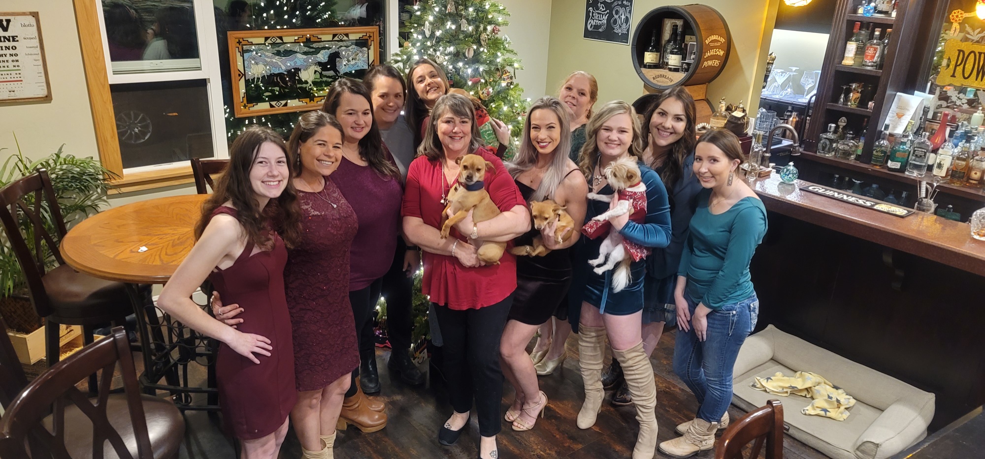 Above and Beyond Animal Care photo