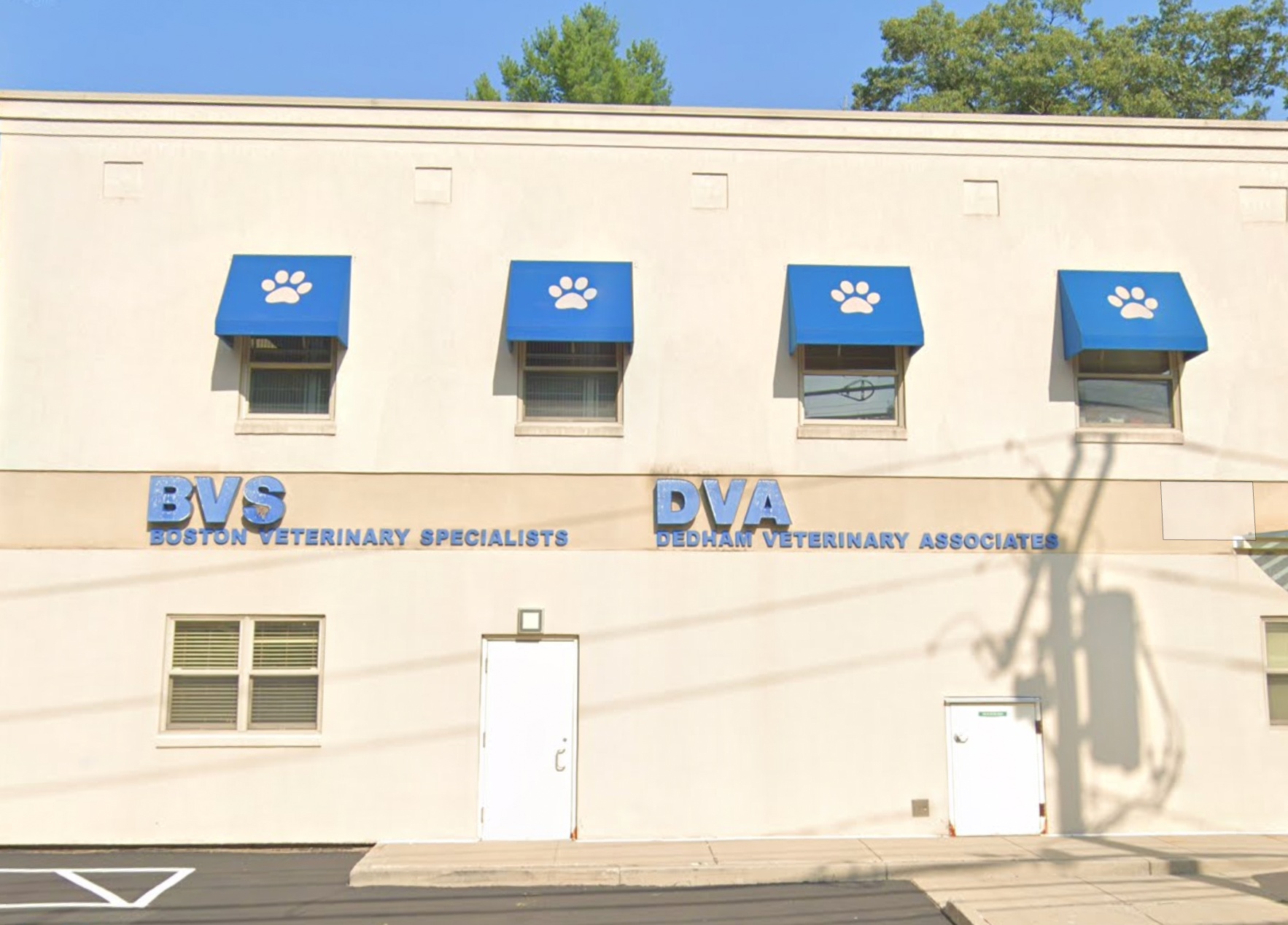Dedham Veterinary Associates photo