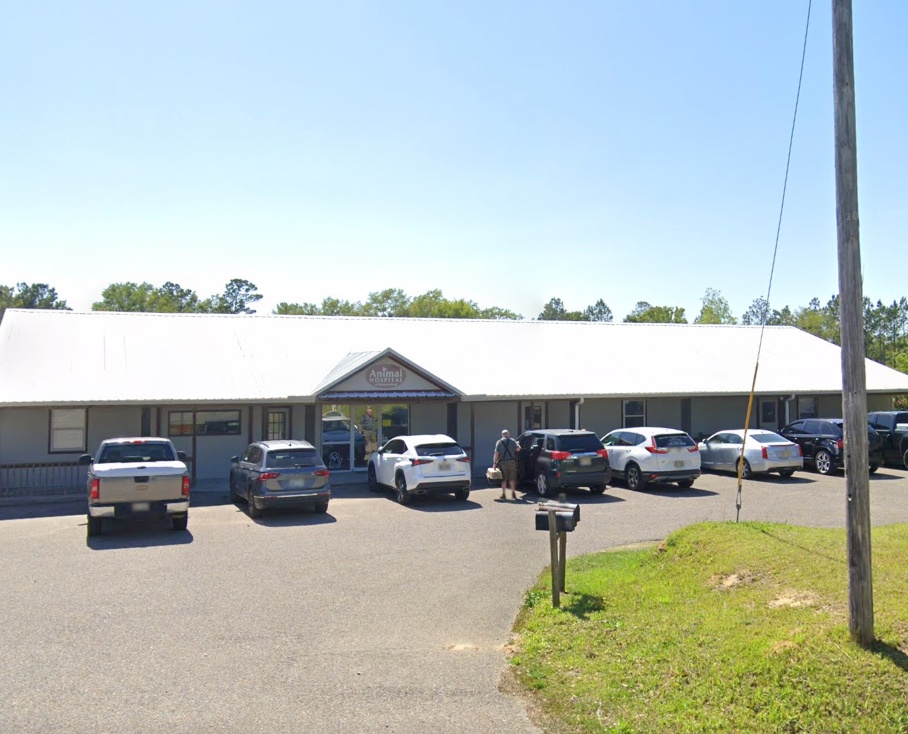 Animal Hospital of Diamondhead photo