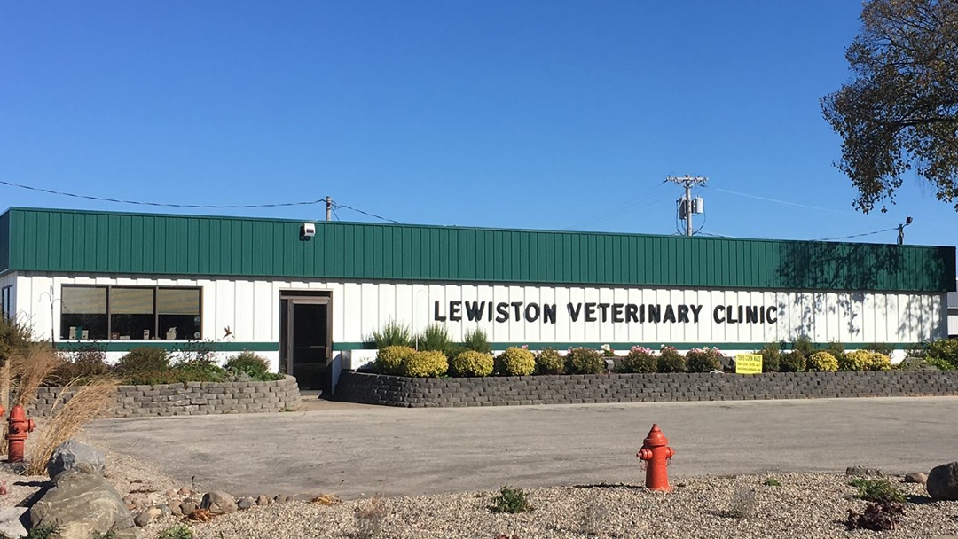 Lewiston Veterinary Clinic photo