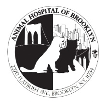 Animal Hospital of Brooklyn photo