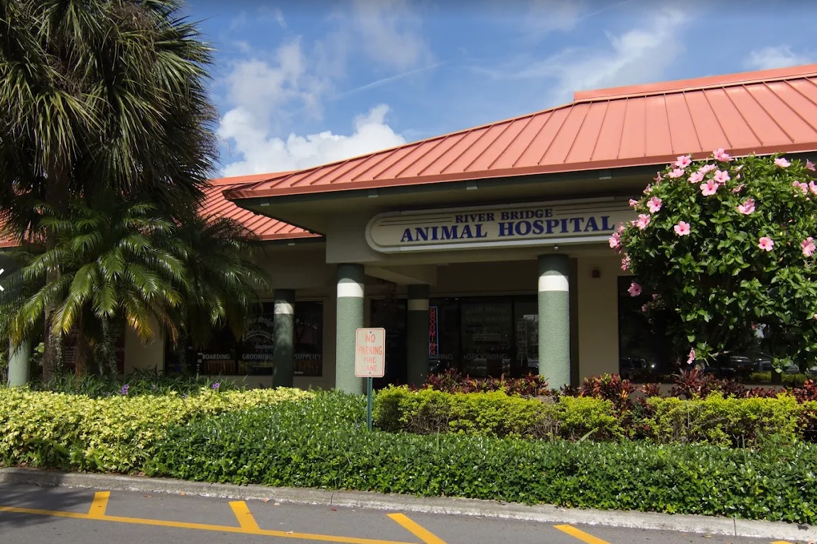 River Bridge Animal Hospital photo