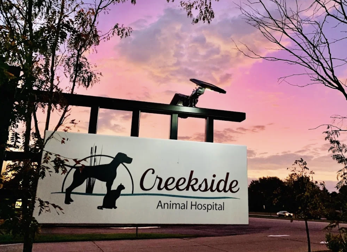 Creekside Animal Hospital photo
