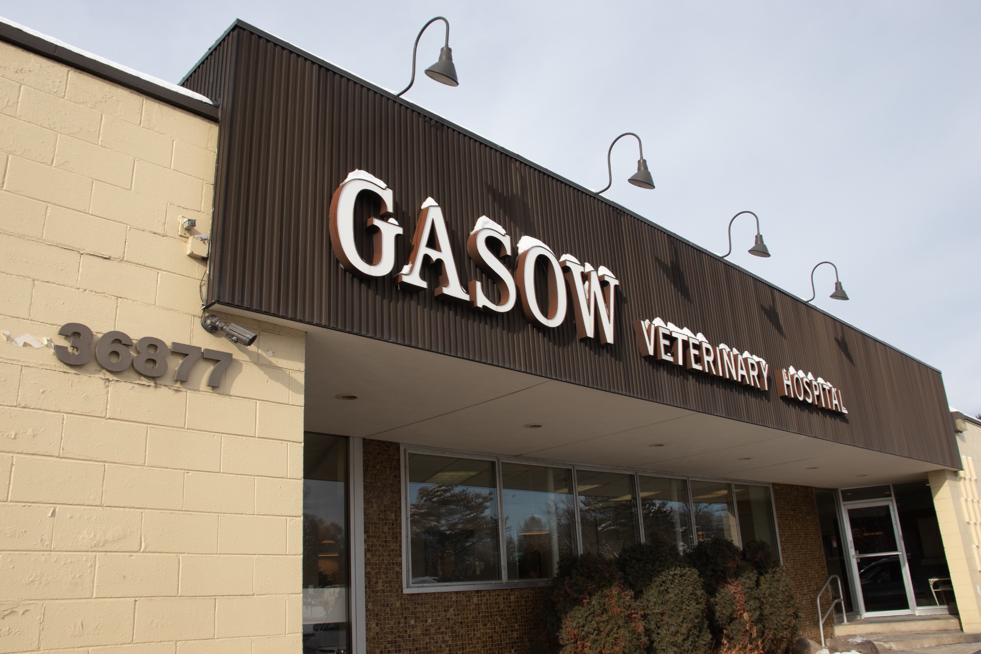 Gasow Veterinary Hospital photo