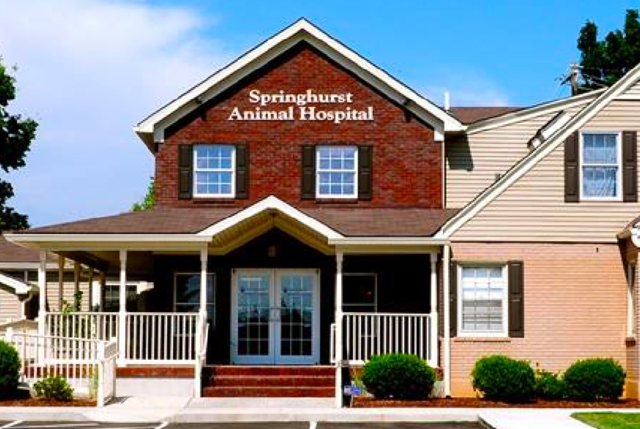Springhurst Animal Hospital  photo