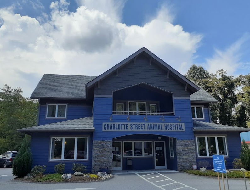 Charlotte Street Animal Hospital photo