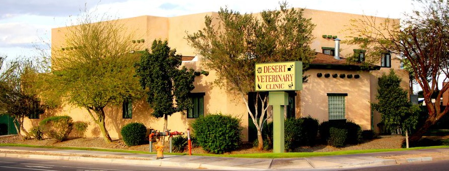Desert Veterinary Clinic photo