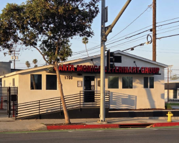Santa Monica Veterinary Group photo