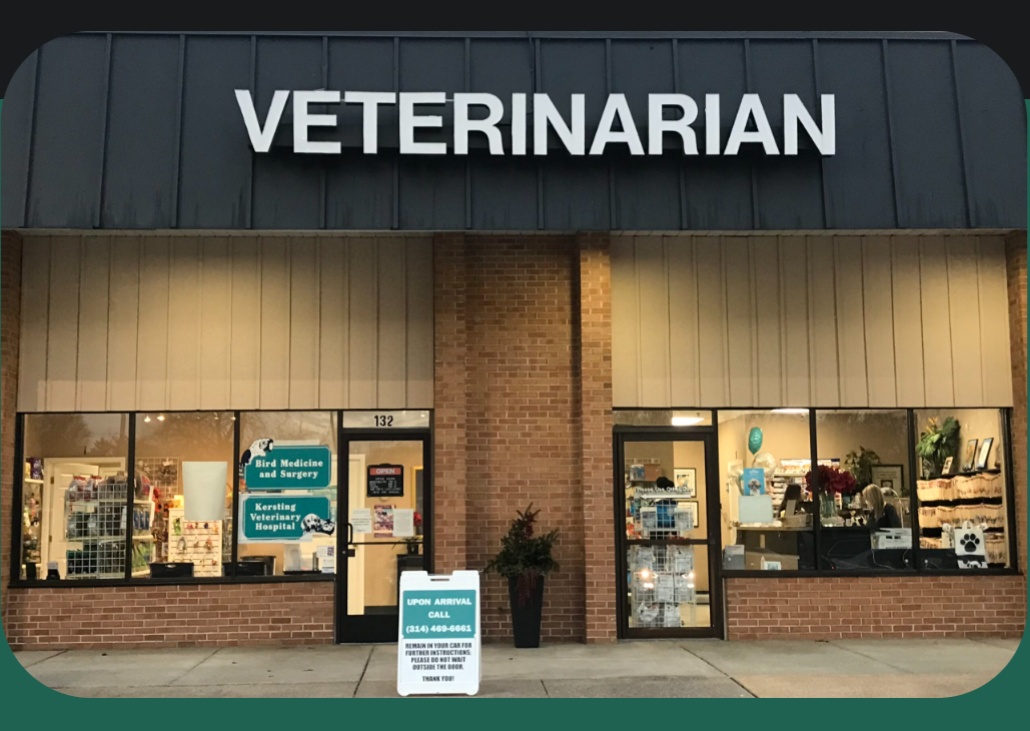 Kersting Veterinary Hospital photo