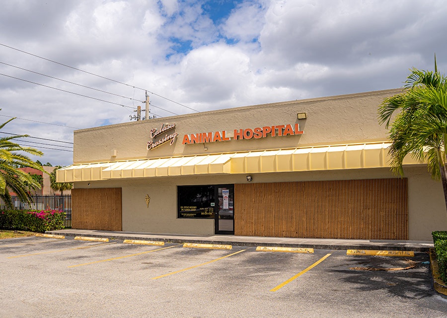 Calusa Crossing Animal Hospital photo