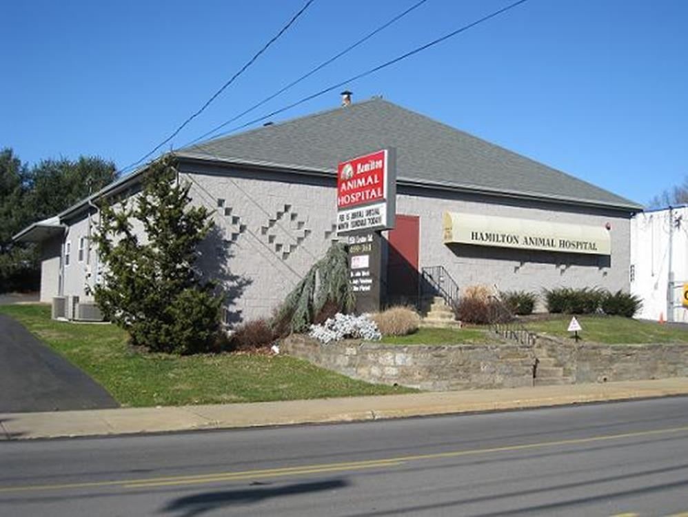 Hamilton Animal Hospital photo