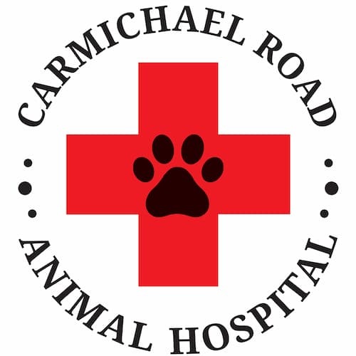 Carmichael Road Animal Clinic photo