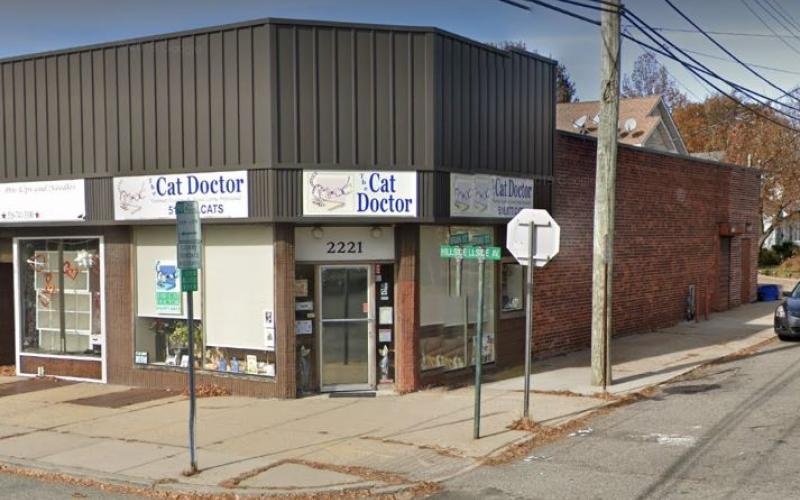 The Cat Doctor photo