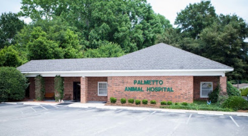 Palmetto Animal Hospital photo