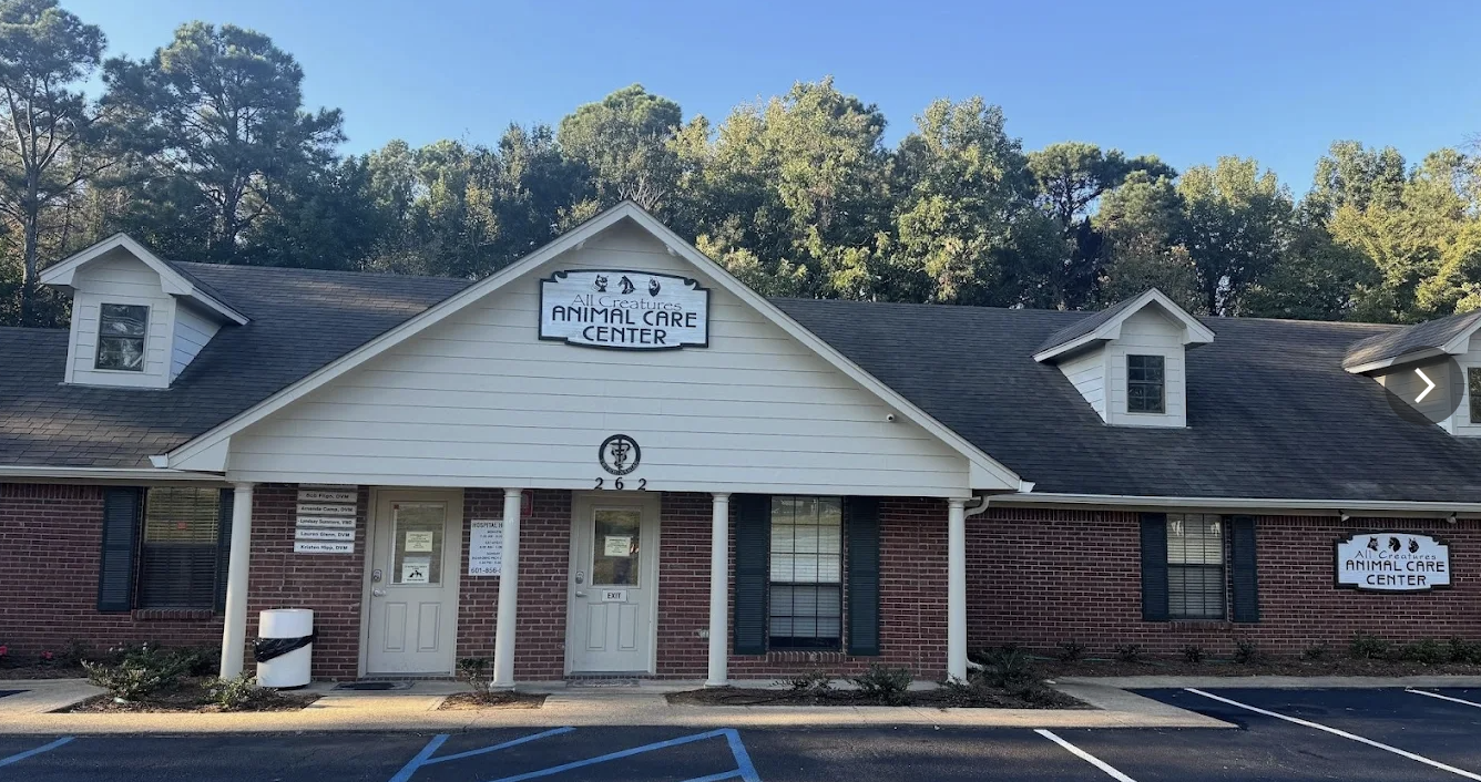 All Creatures Animal Care Center photo