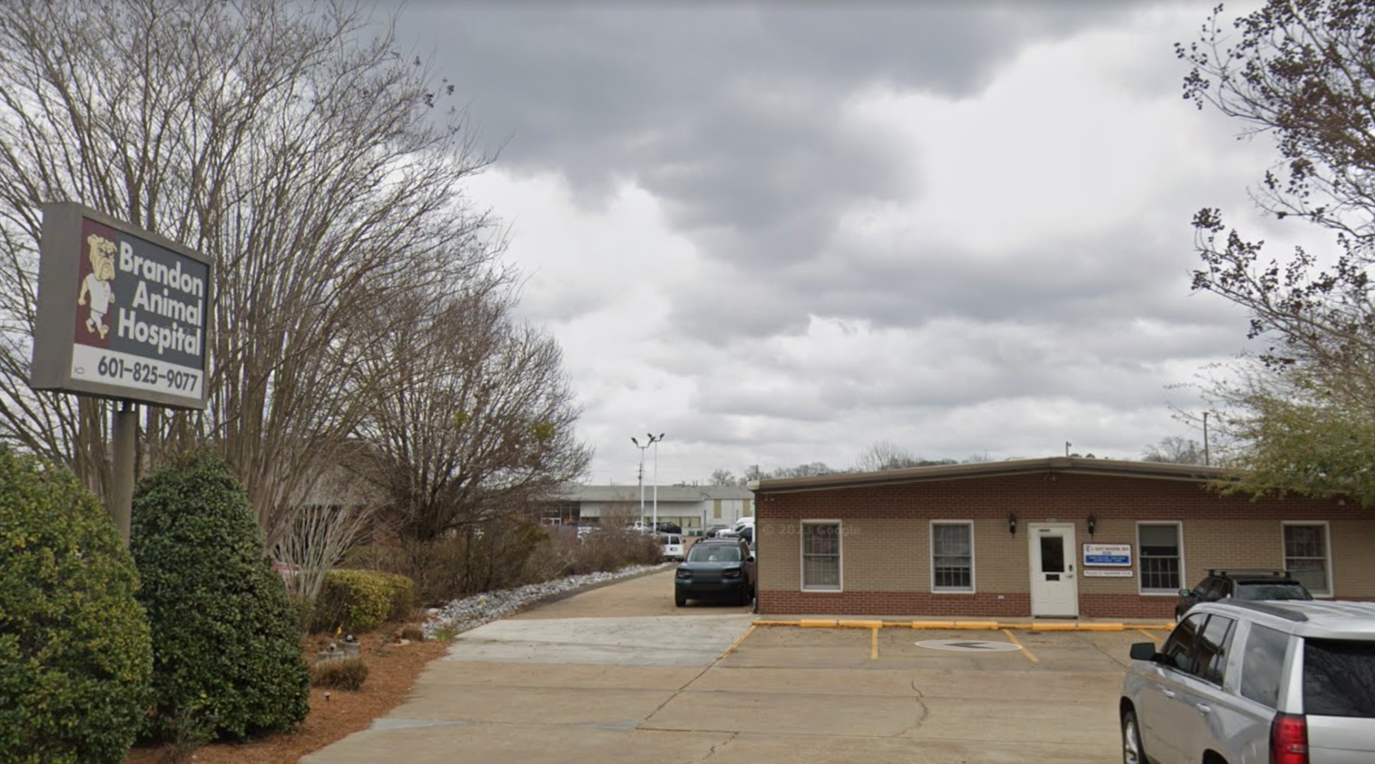 Brandon Animal Hospital photo
