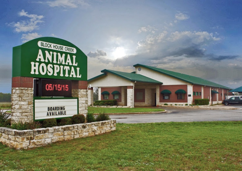 Block House Creek Animal Hospital photo